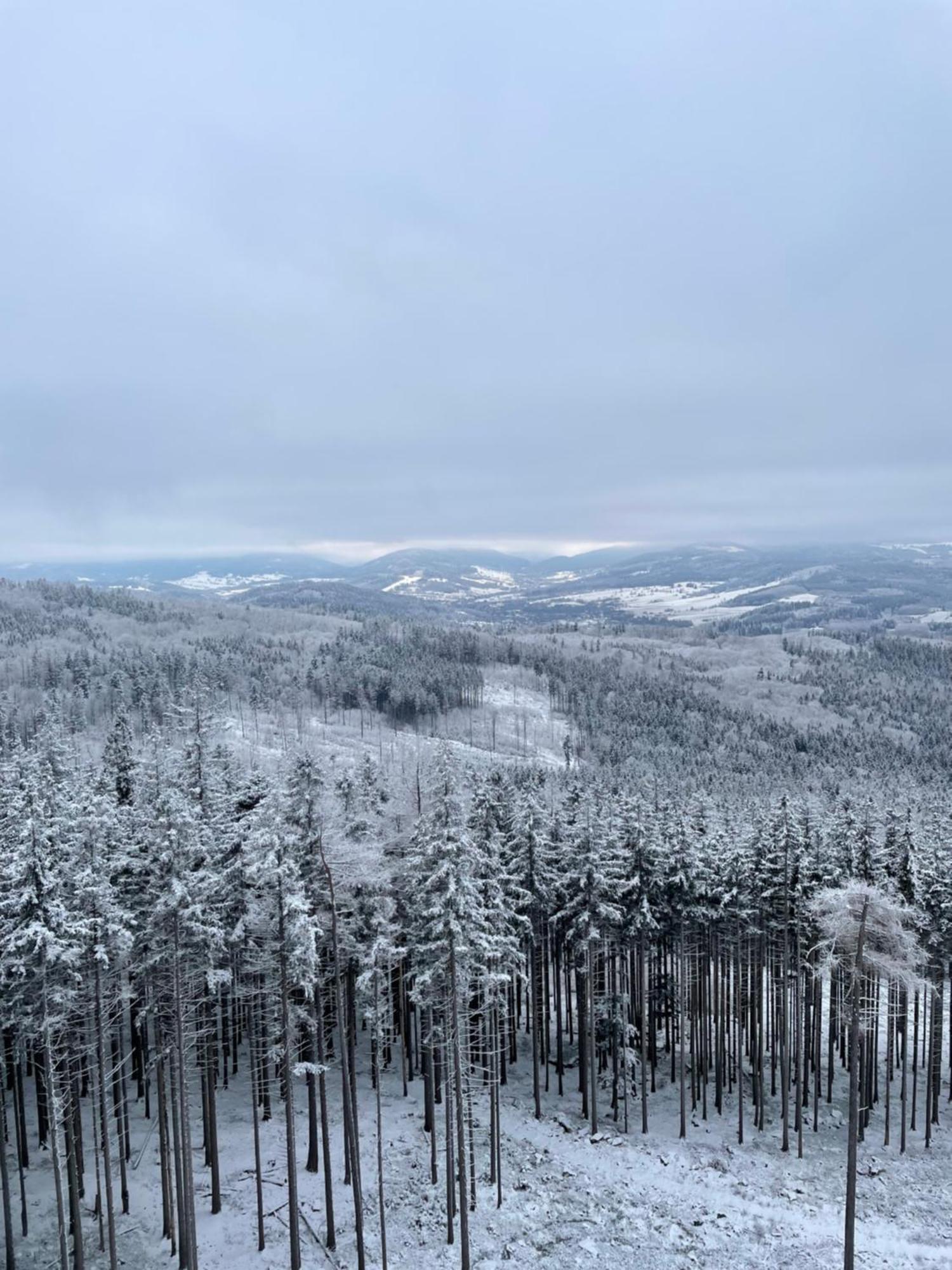 Willa Toskania Lądek-Zdrój Exteriör bild